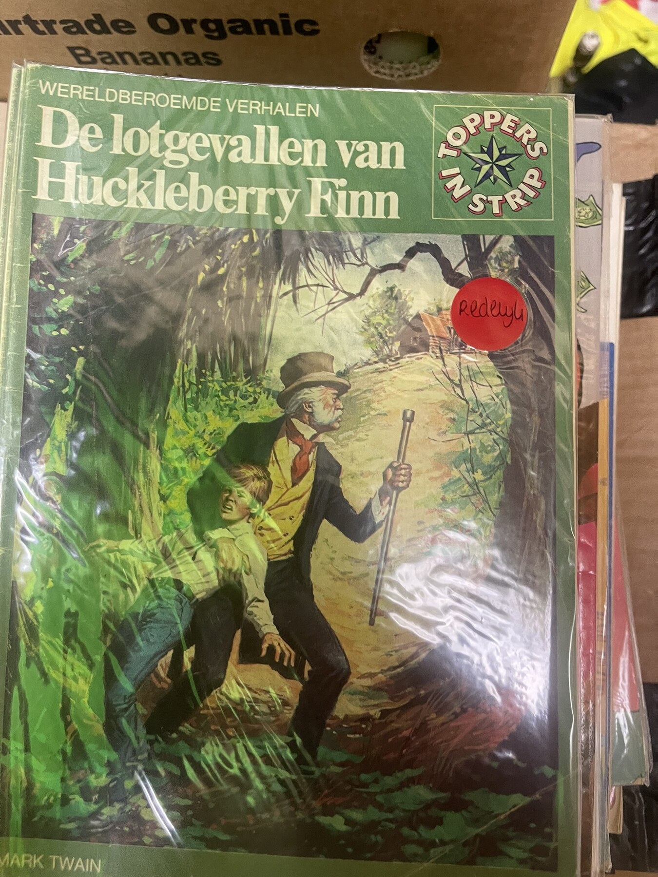 De lotgevallen van Huckleberry Finn