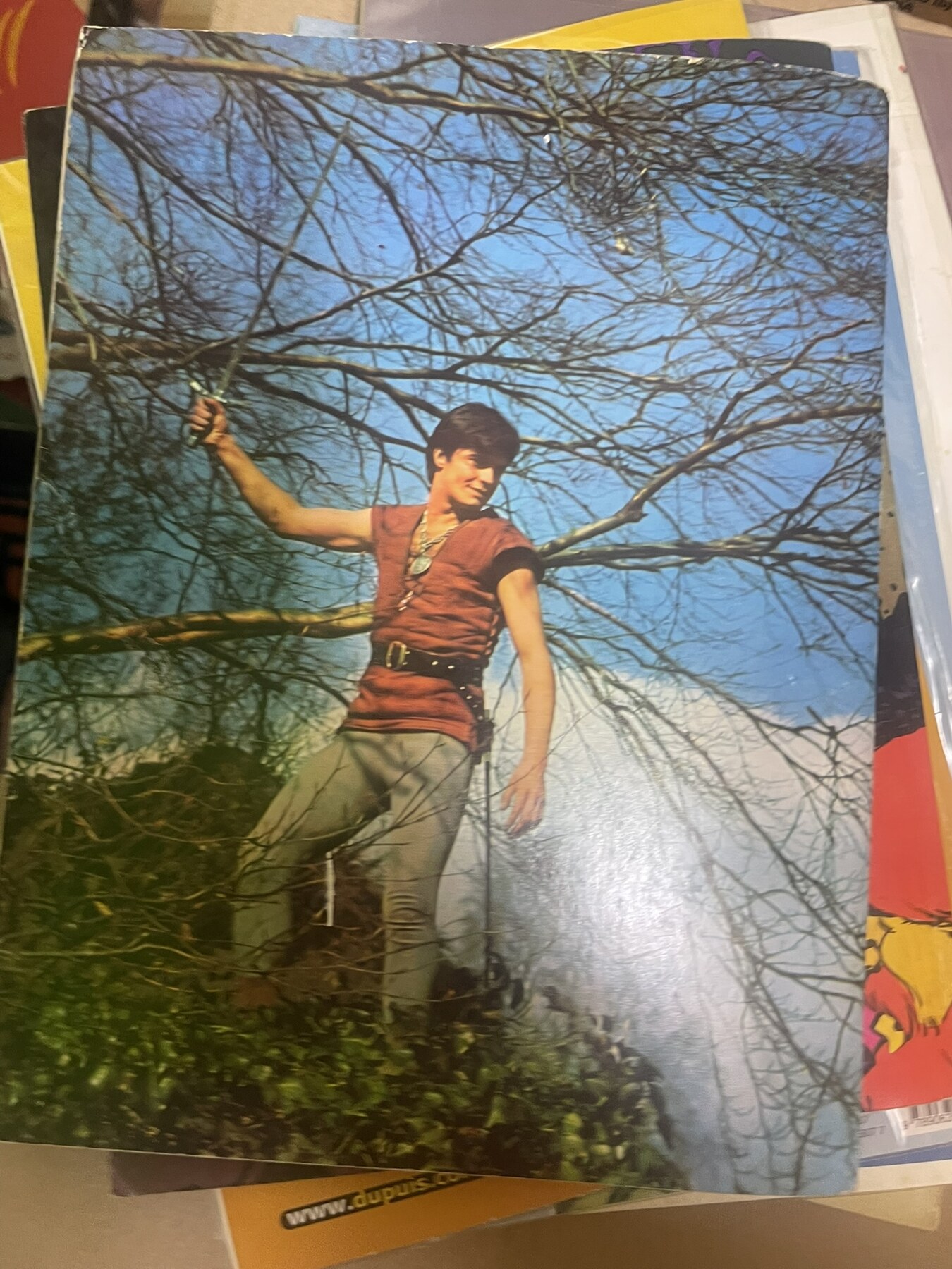 Thierry de slingeraar en het geheim van de hertog - afbeelding 2
