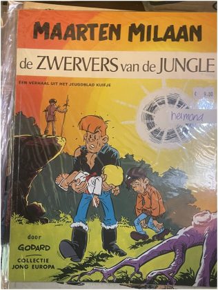 Cover van De zwervers van de jungle