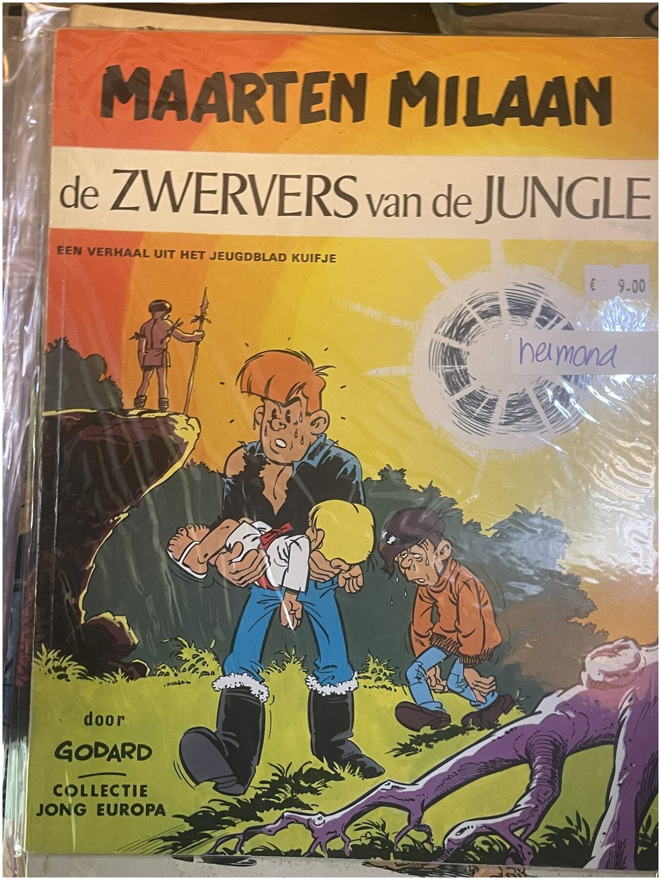 Cover van De zwervers van de jungle