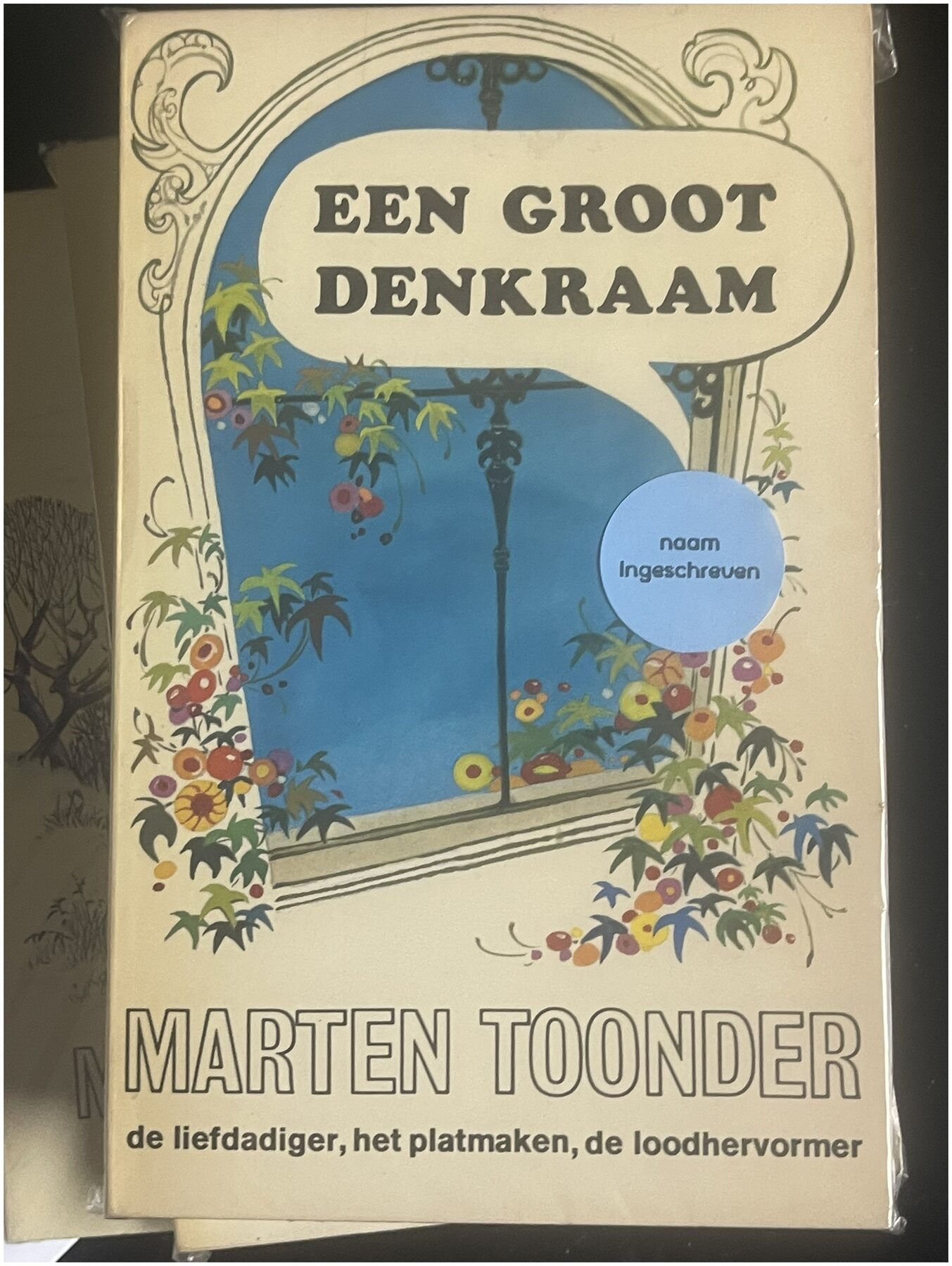 Cover van Een groot denkraam