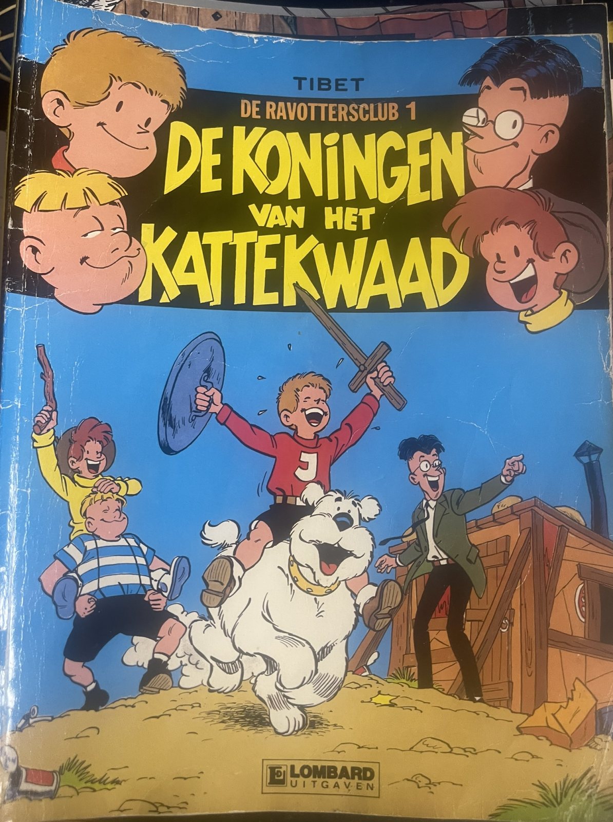 De Ravottersclub 1 - De koninginnen van het kattenkwaad