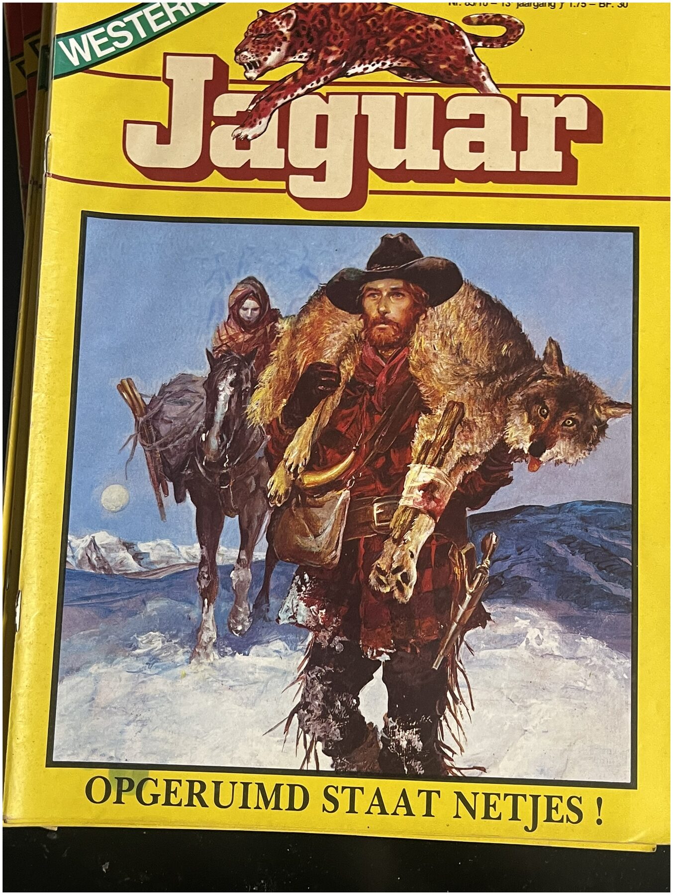 Cover van Opgeruimd staat netjes