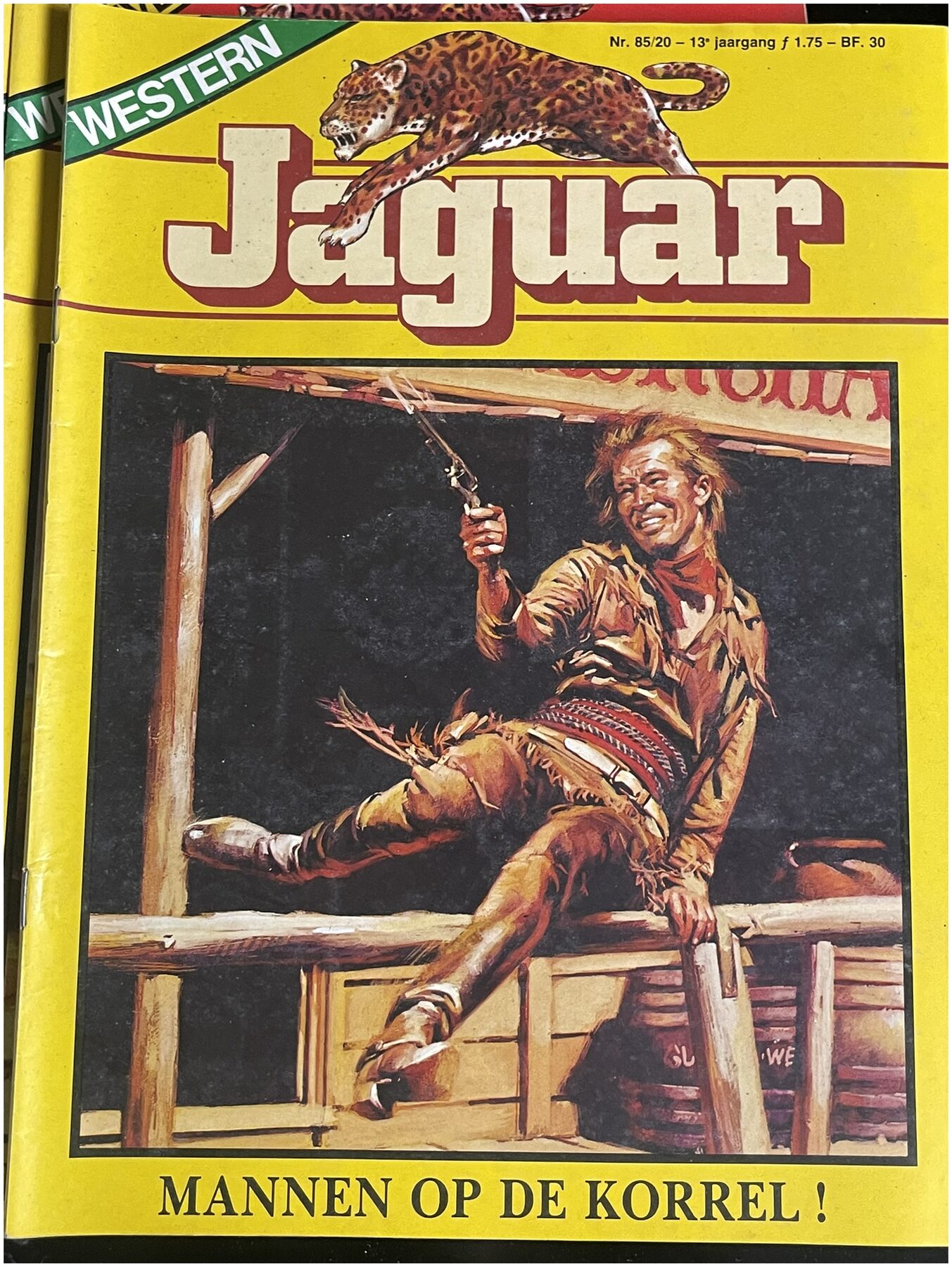 Cover van De X-Mannen