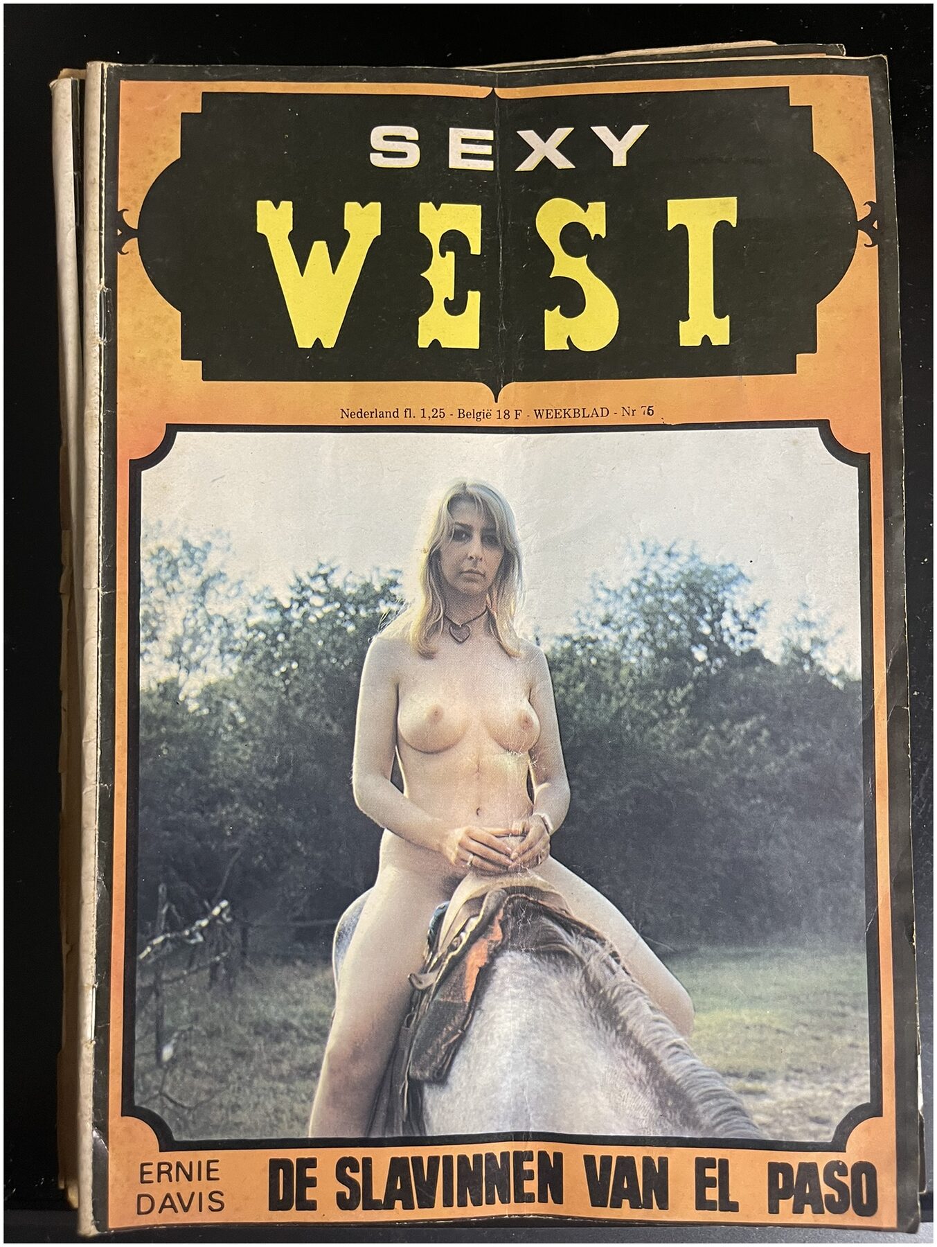 Cover van Adult western - IMG_2017