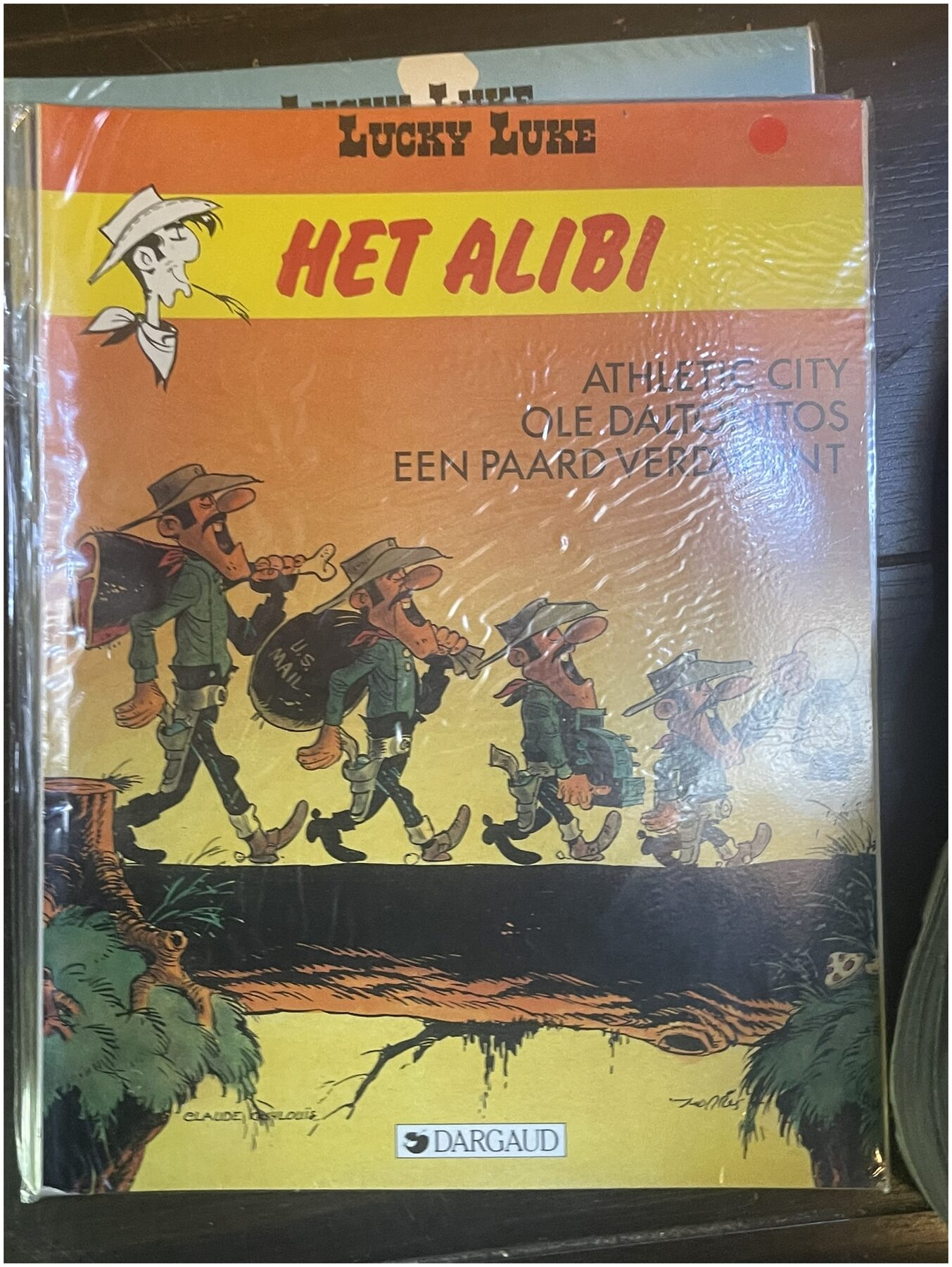 Cover van Het alibi