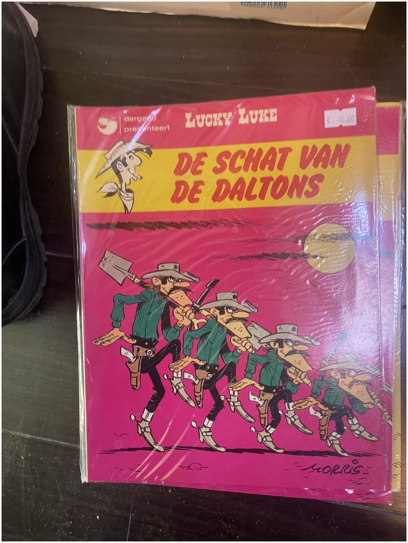 Cover van De schat van de Daltons