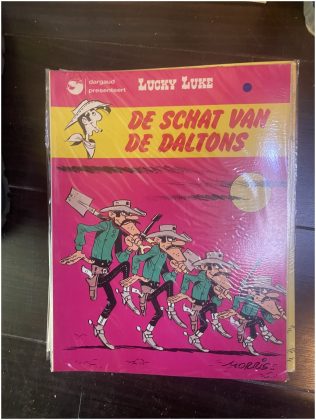 Cover van De schat van de Daltons