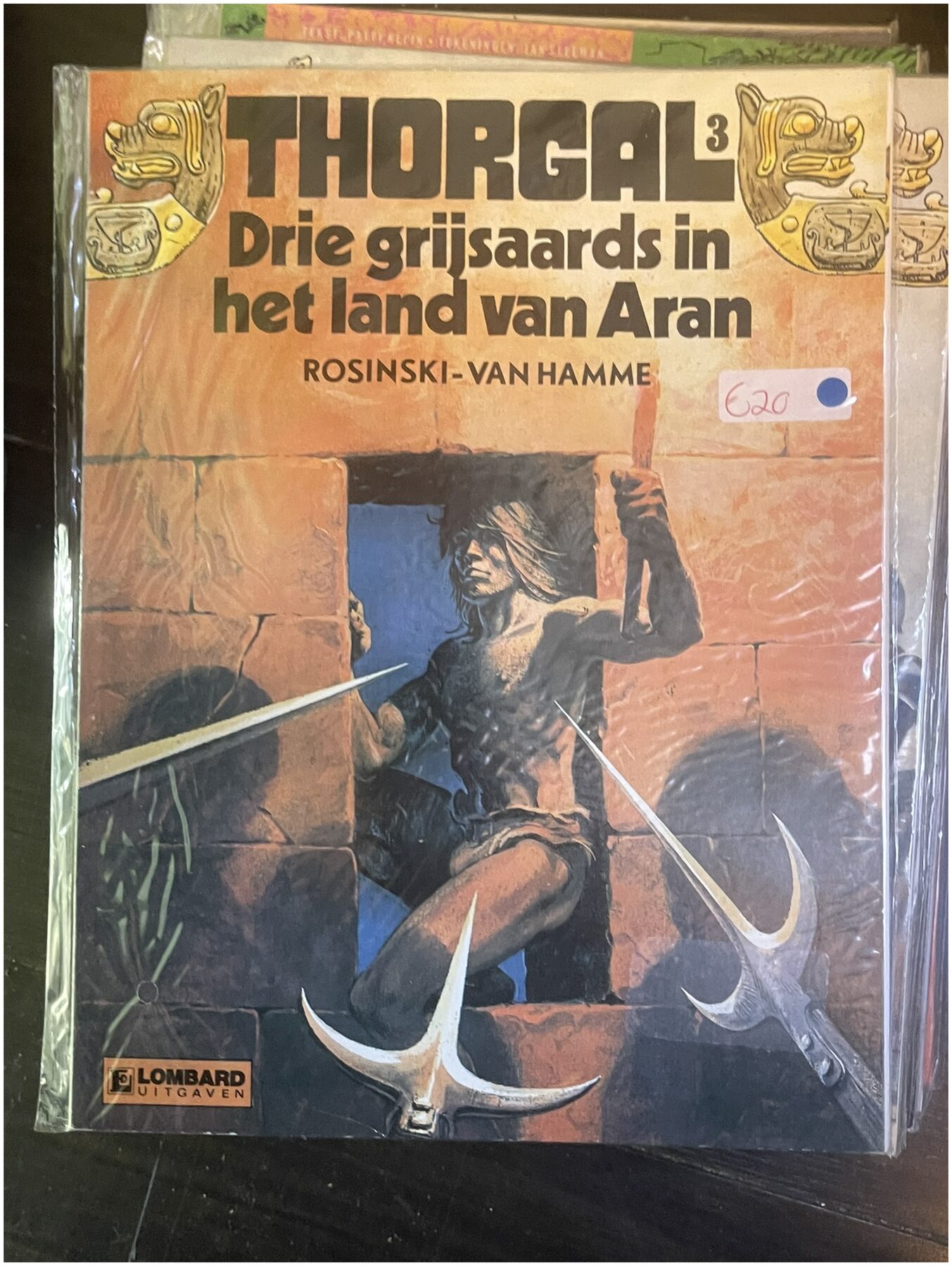 Cover van Thorgal - IMG_2513