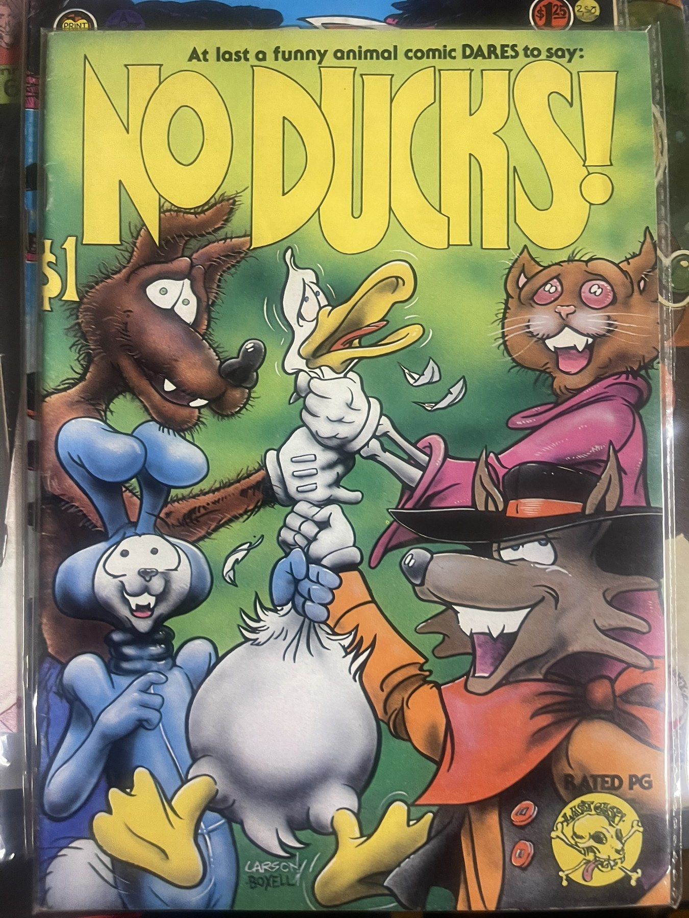 No Ducks! – novel