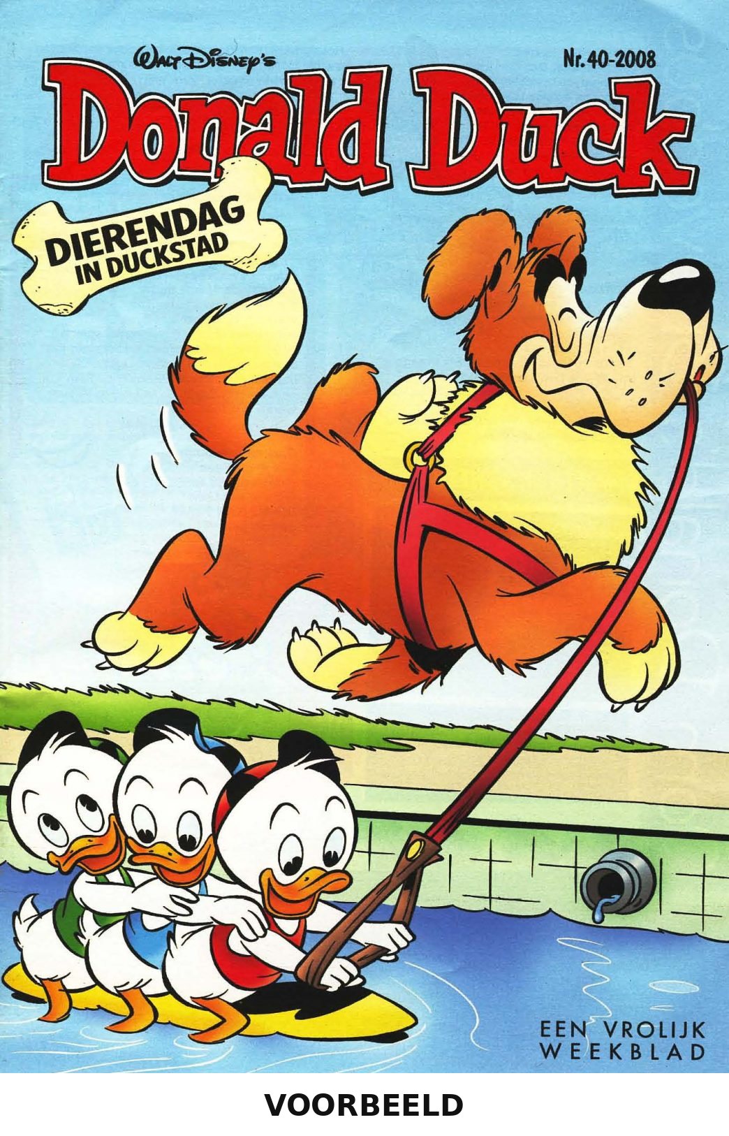 Donald Duck 40