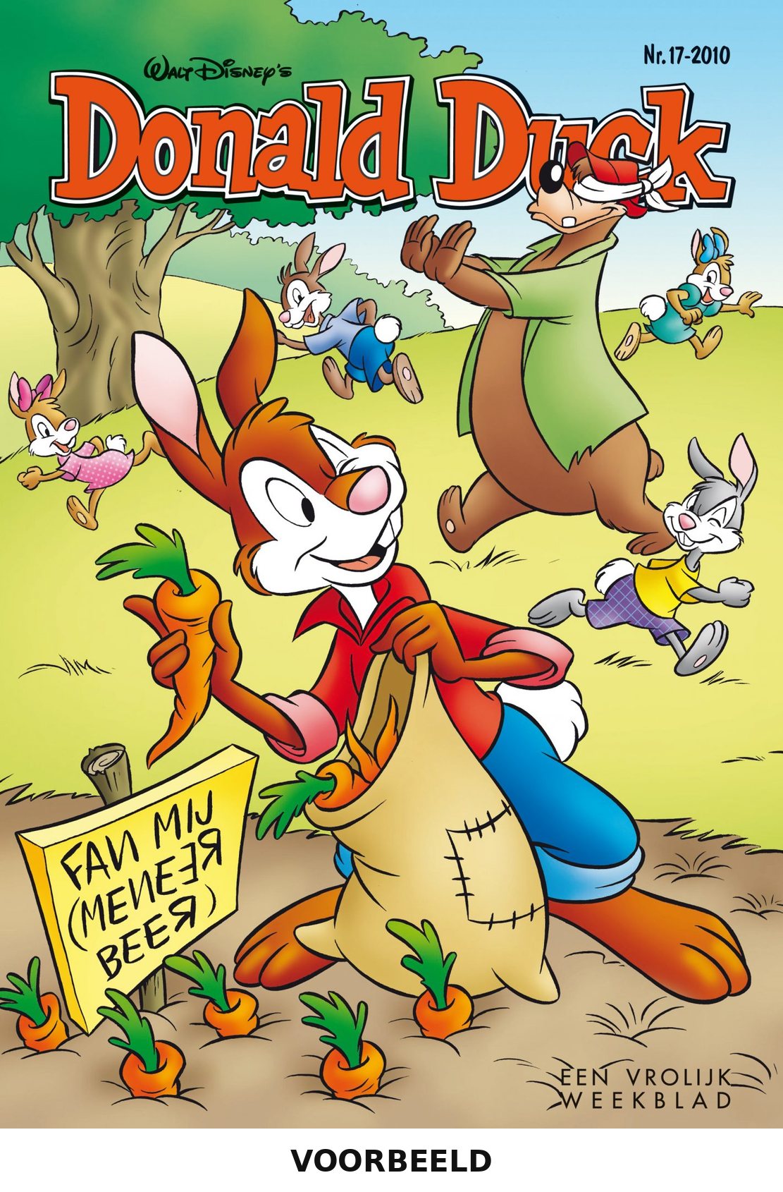 Donald Duck 17