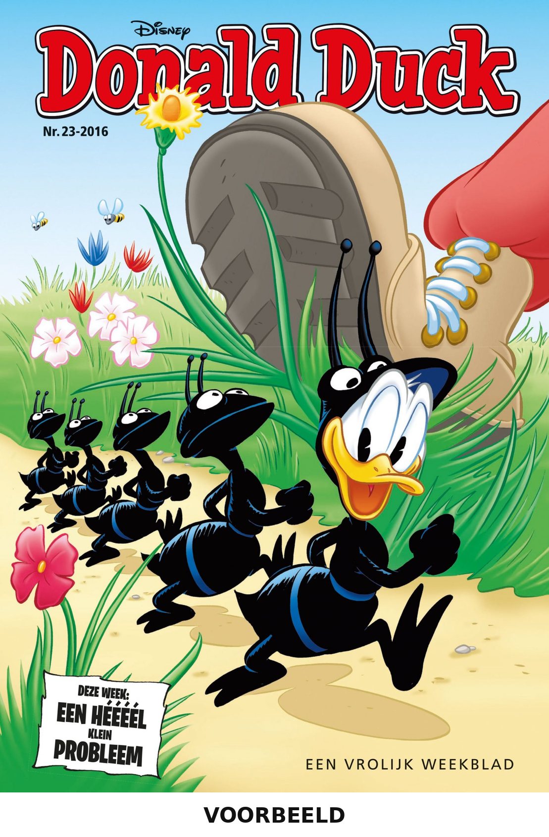 Donald Duck 23