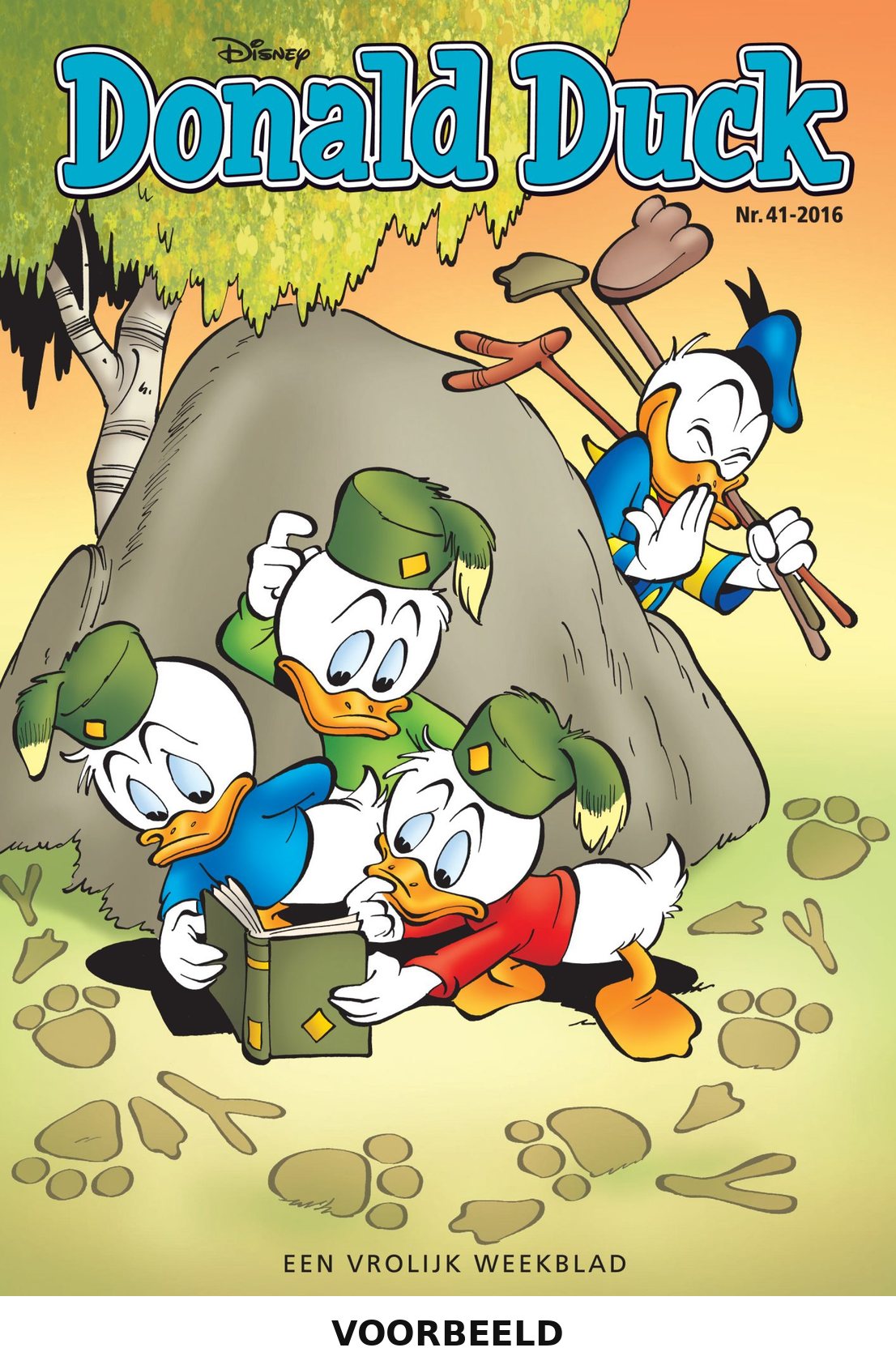Donald Duck 41