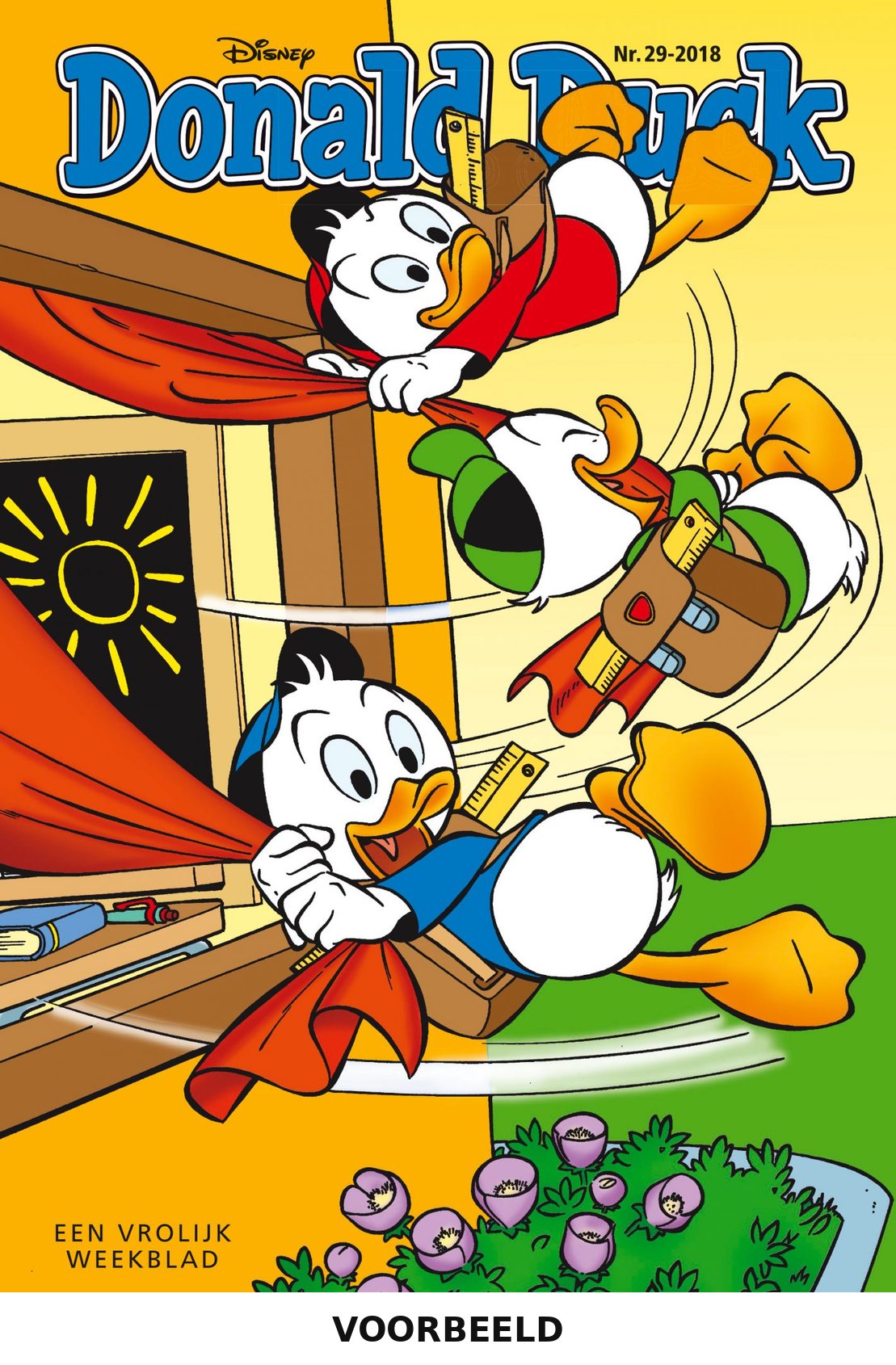 Donald Duck 29