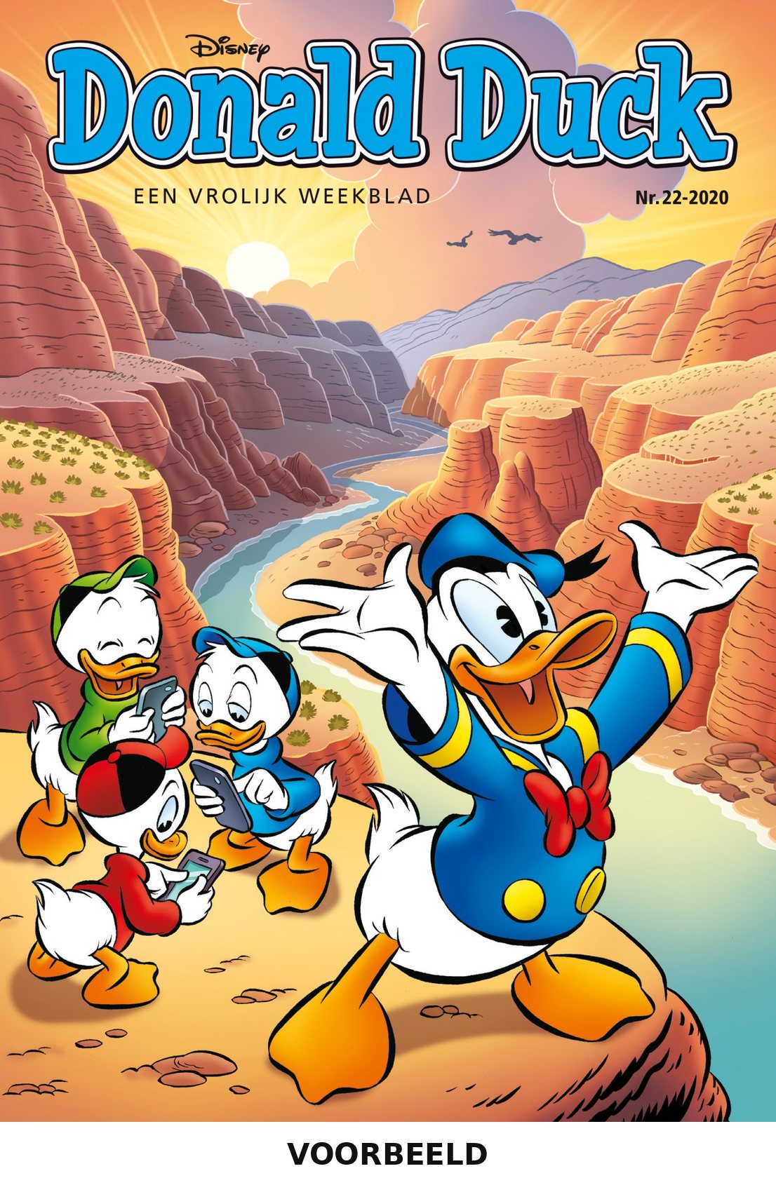 Donald Duck 22