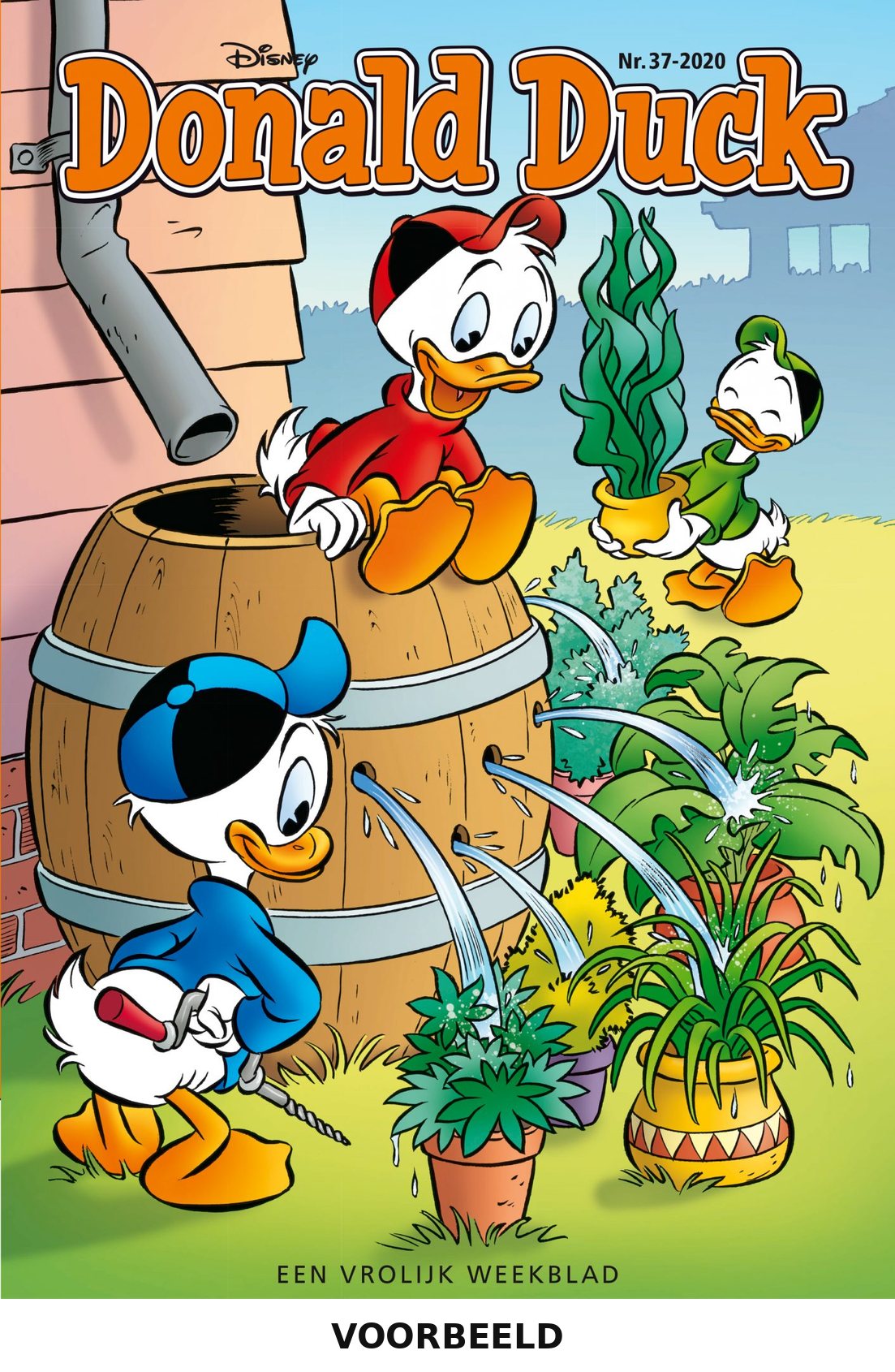 Donald Duck 37