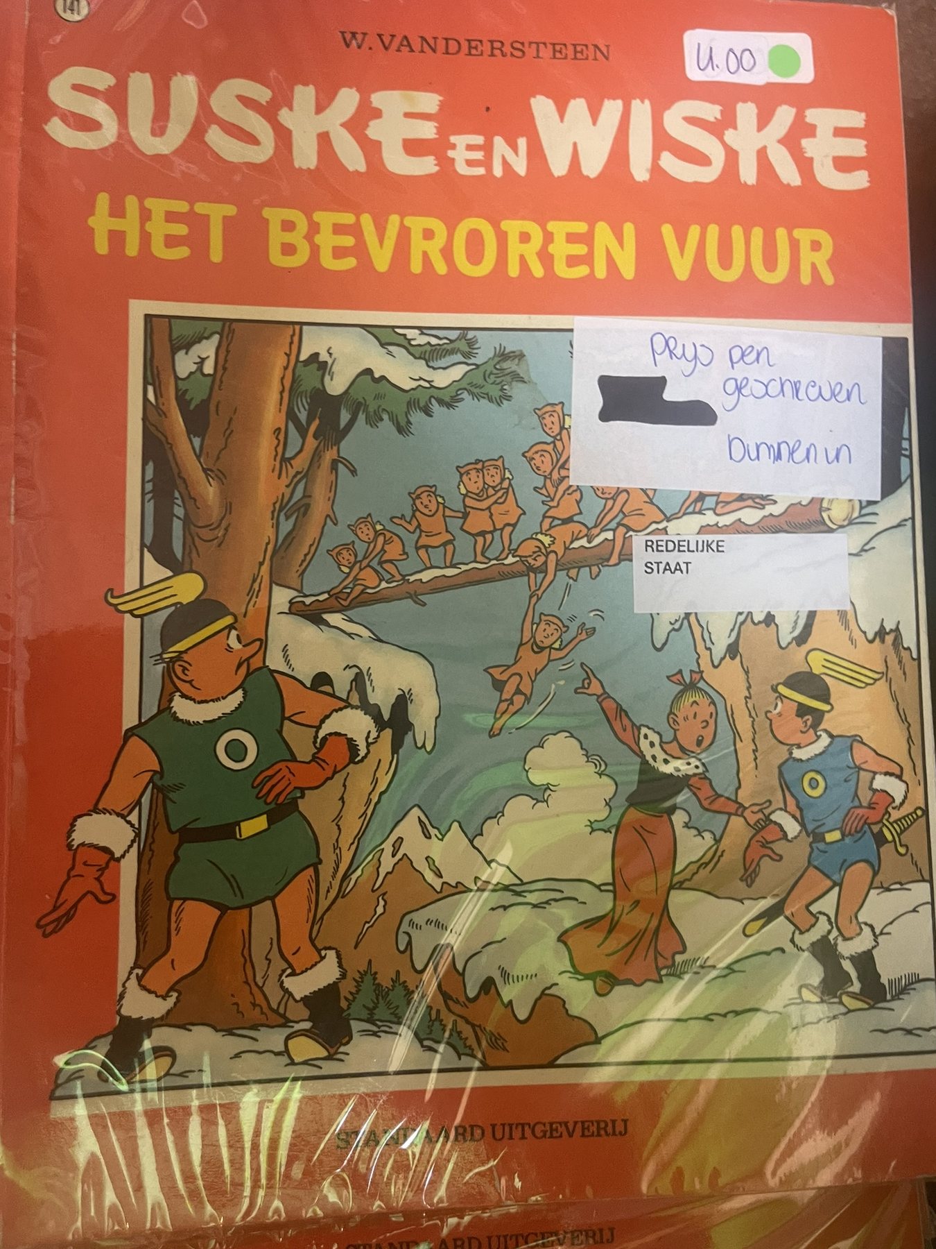 Het bevroren vuur