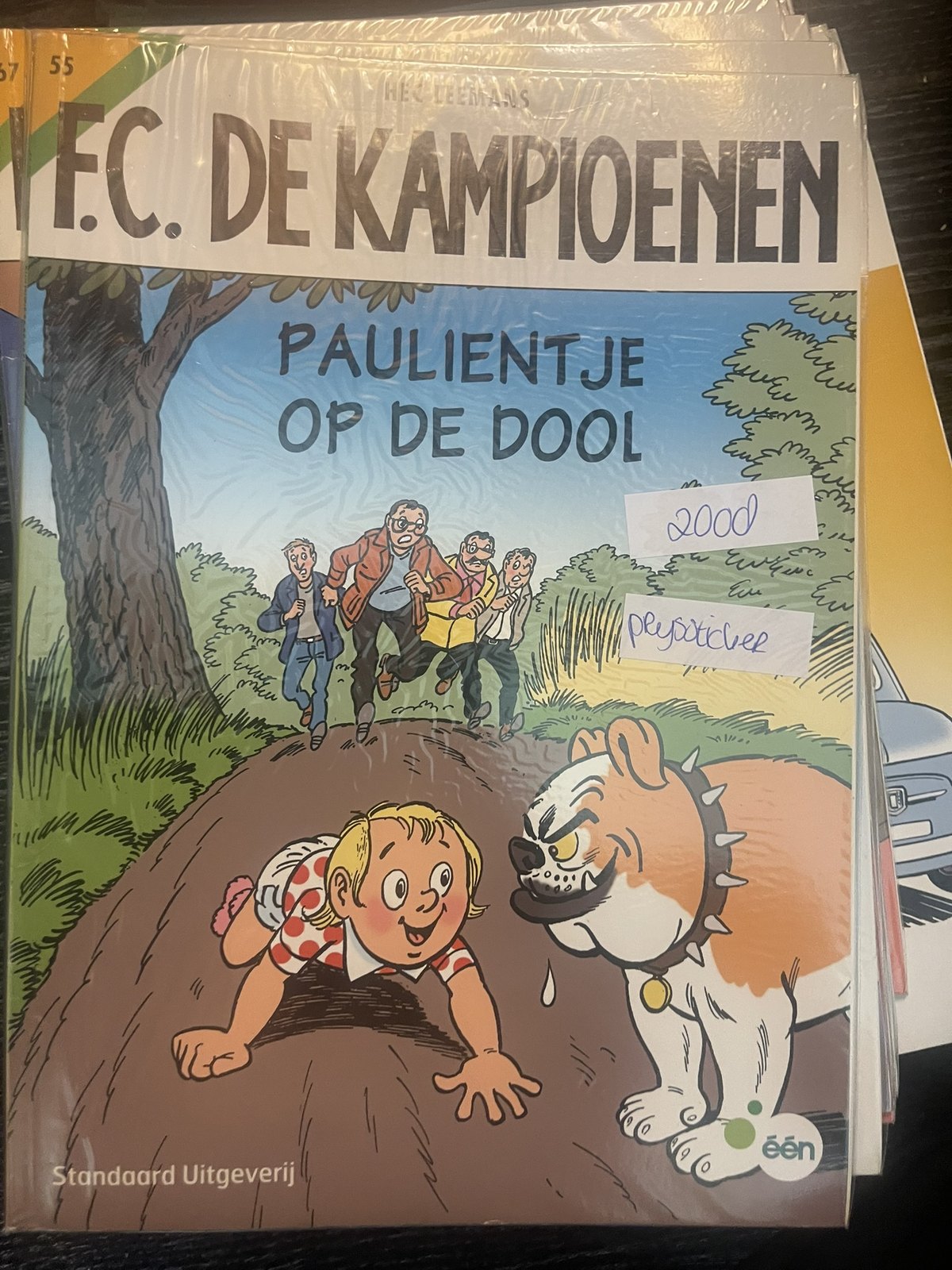 Cover van Paulientje op de dool