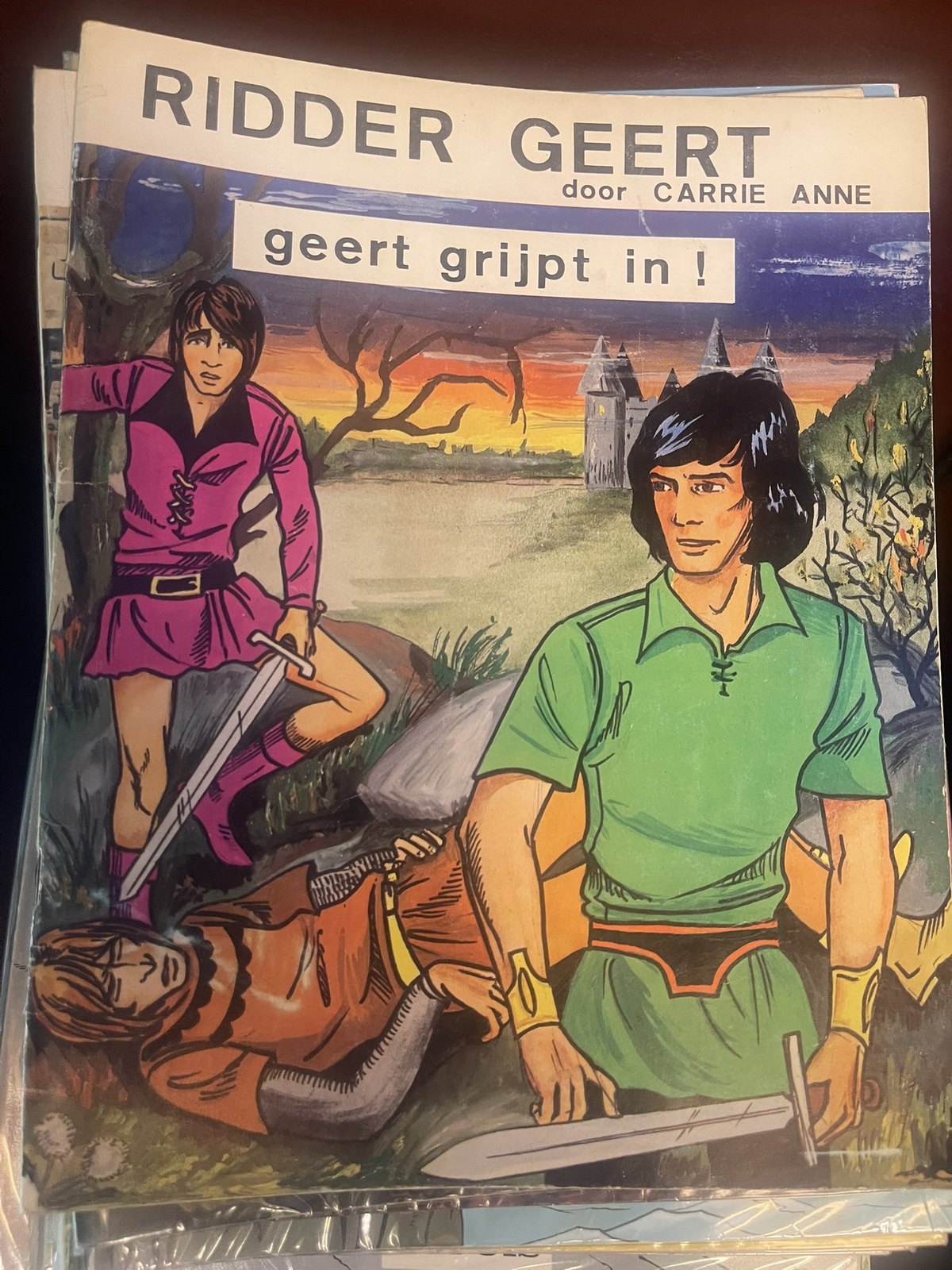 Cover van Geert grijpt in!