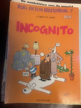 Cover van Incognito