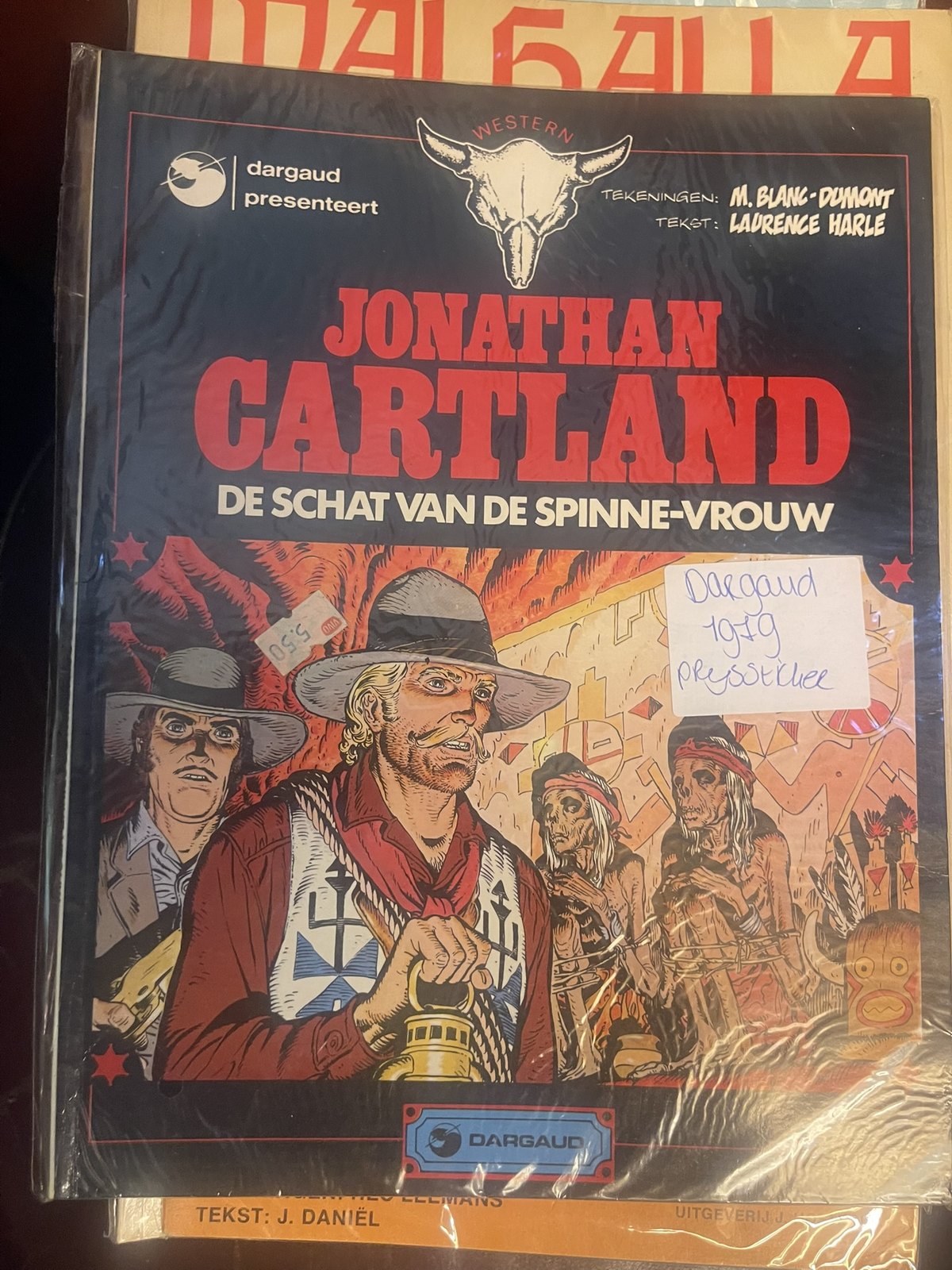 Cover van De schat van de spinne-vrouw