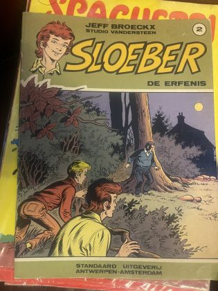 Cover van De erfenis
