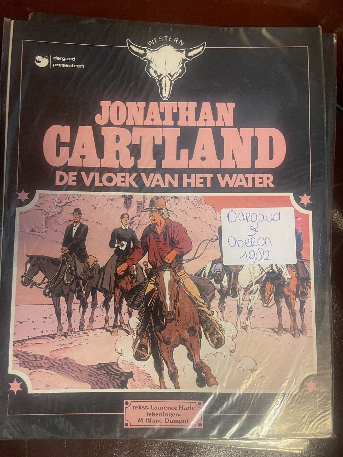 Cover van Het weerzien