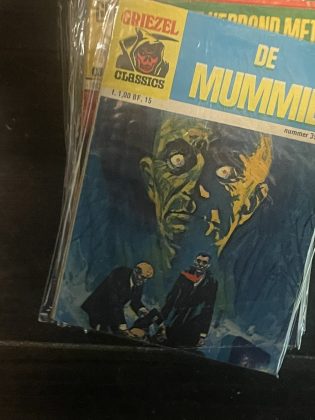 Cover van De mummie