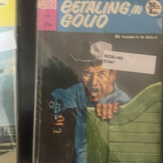 Cover van Betaling in goud