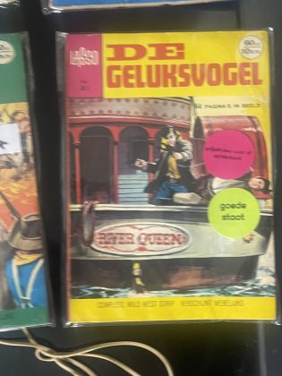 Cover van De geluksvogel
