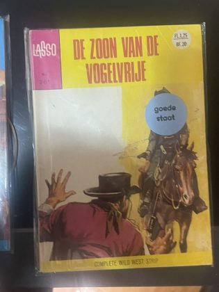 Cover van De zoon van de vogelvrije