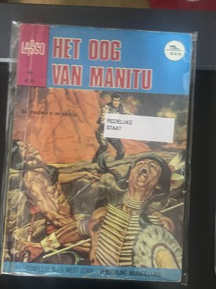Cover van Het oog van Manitu