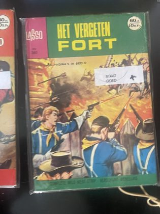 Cover van Het vergeten fort