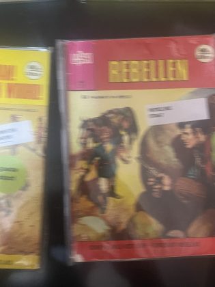 Cover van Rebellen