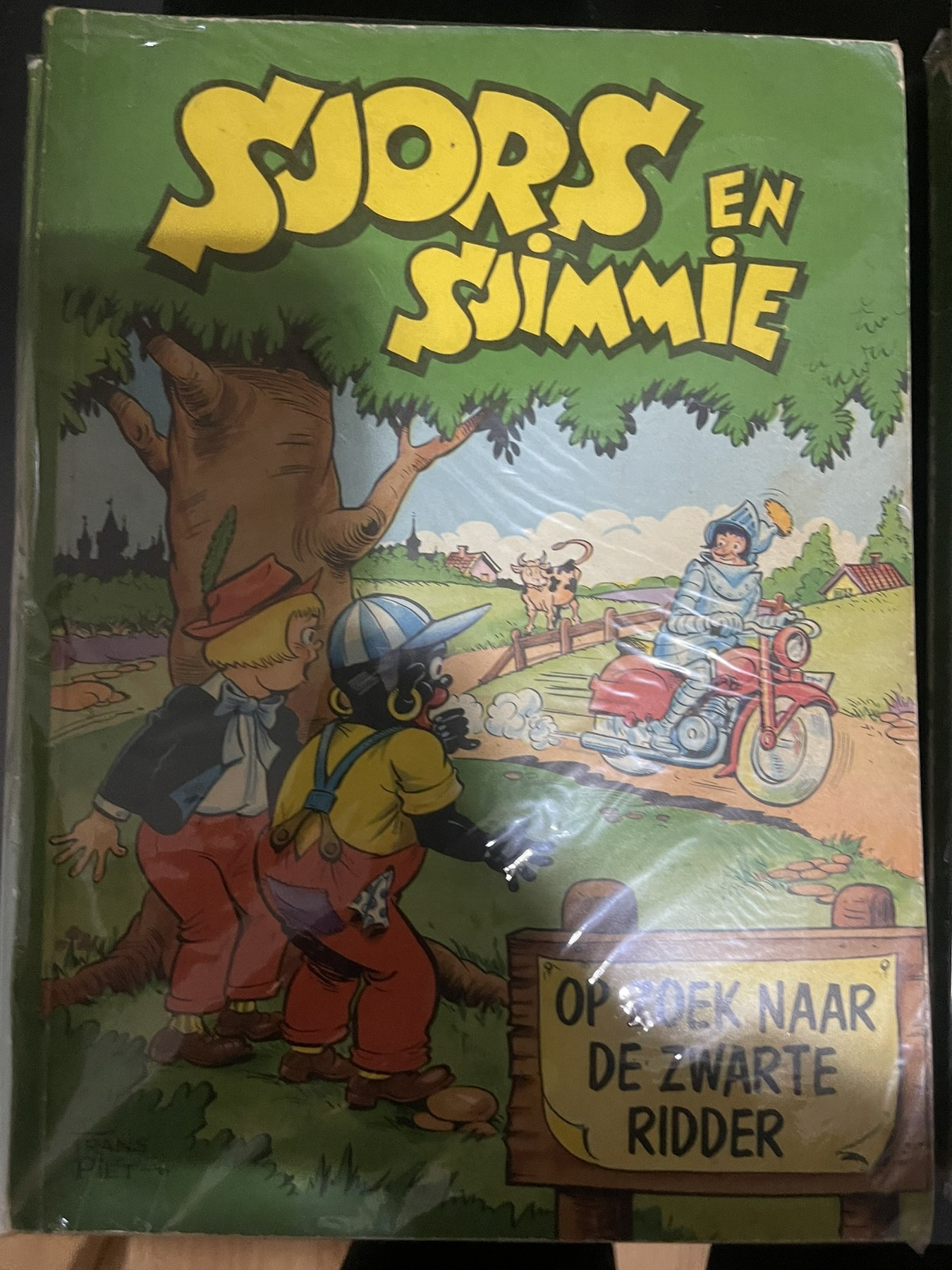 Cover van Op zoek naar de Zwarte Ridder