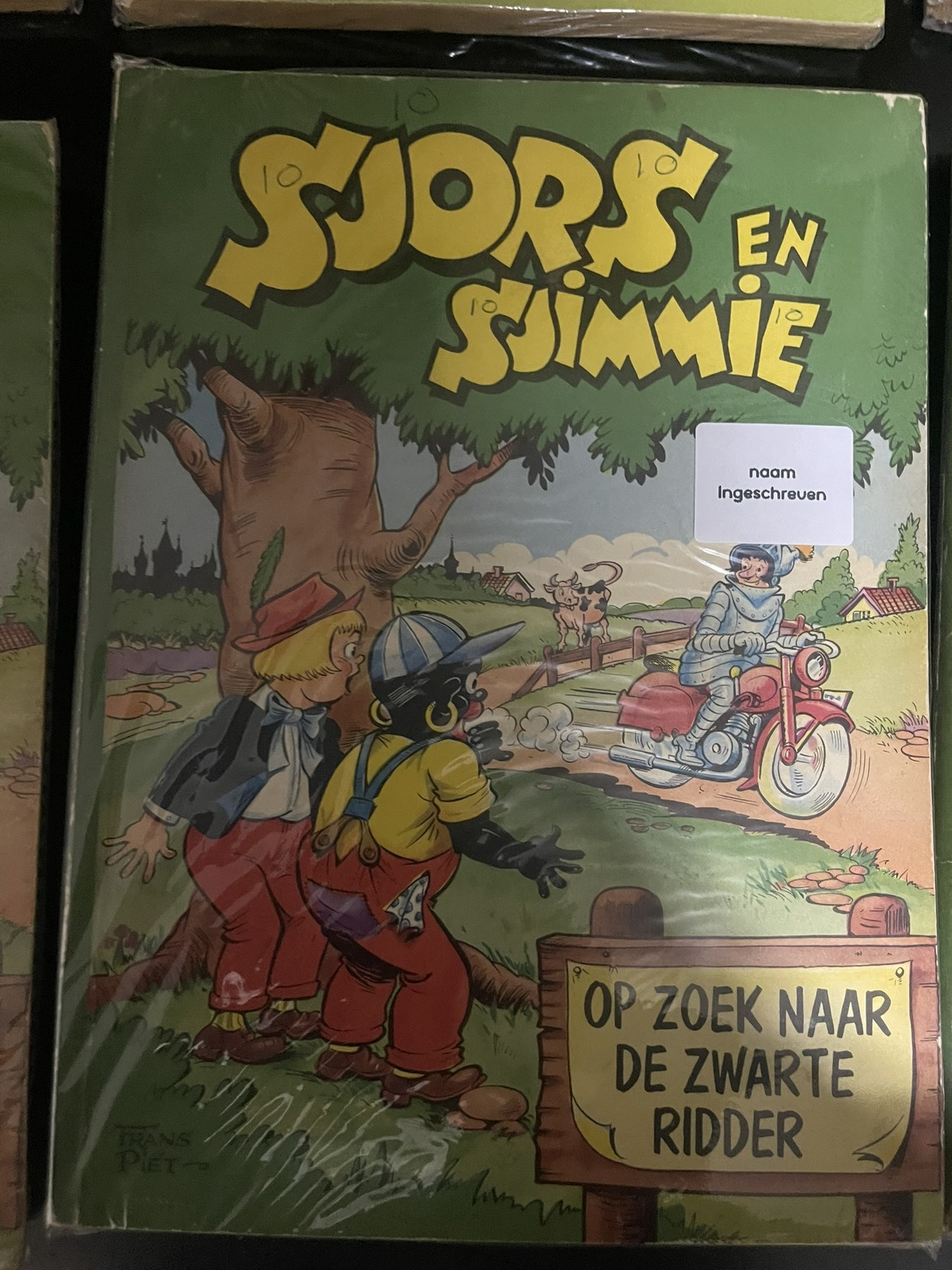 Cover van Op zoek naar de Zwarte Ridder