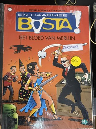 Cover van Het bloed van Merlijn