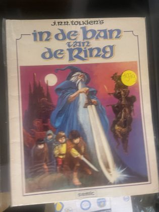 Cover van In de ban van de ring 1