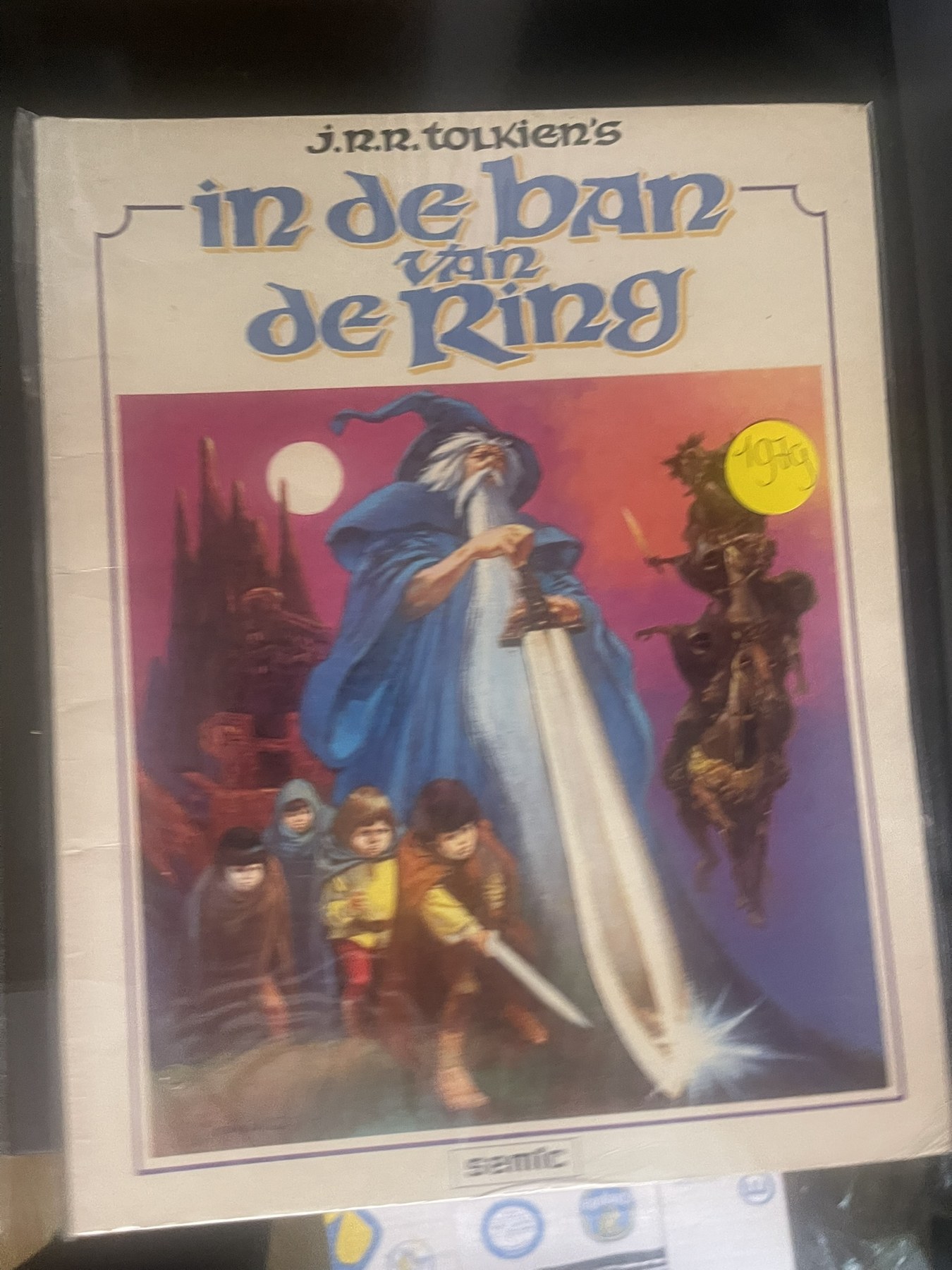 Cover van In de ban van de ring 1