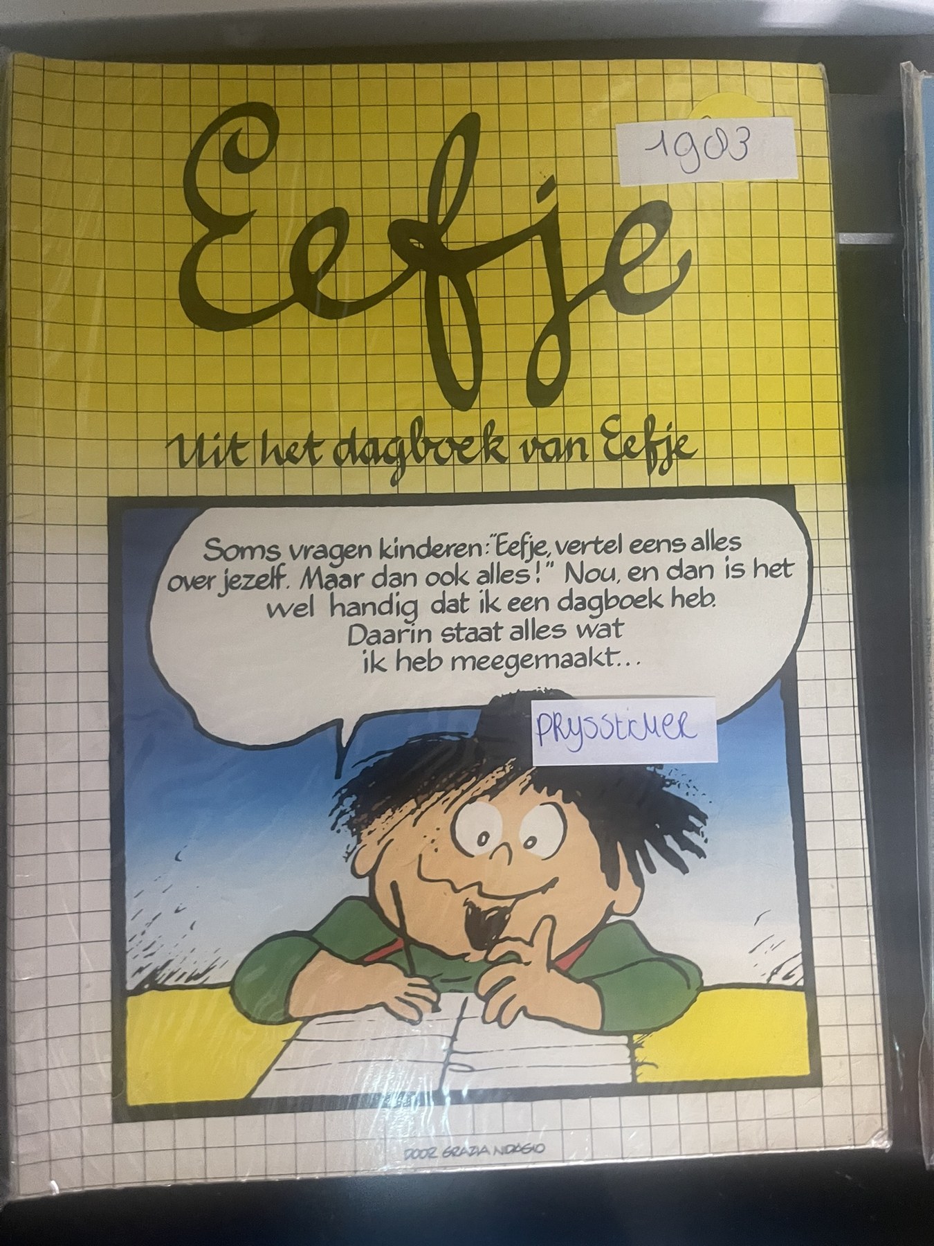 Cover van Uit het dagboek van Eefje