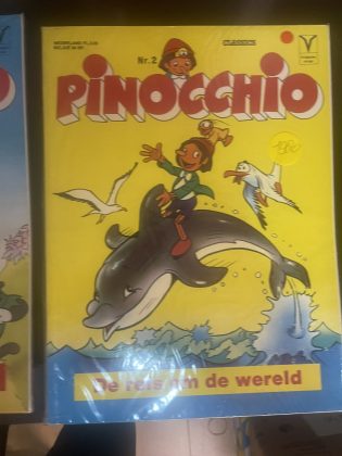 Cover van De reis om de wereld