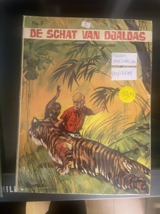 Cover van De schat van Djaldas