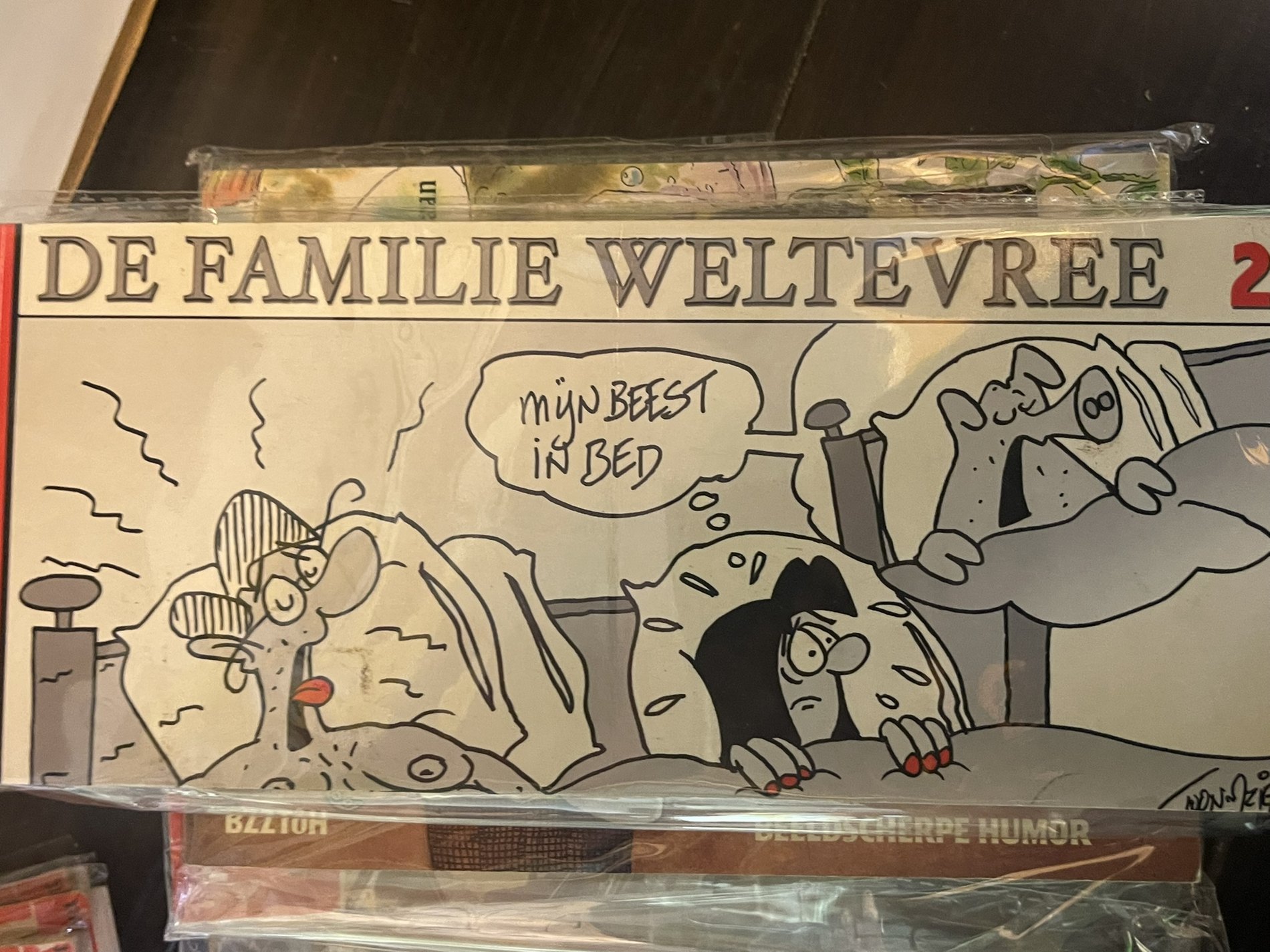 Cover van De familie Weltevree 2
