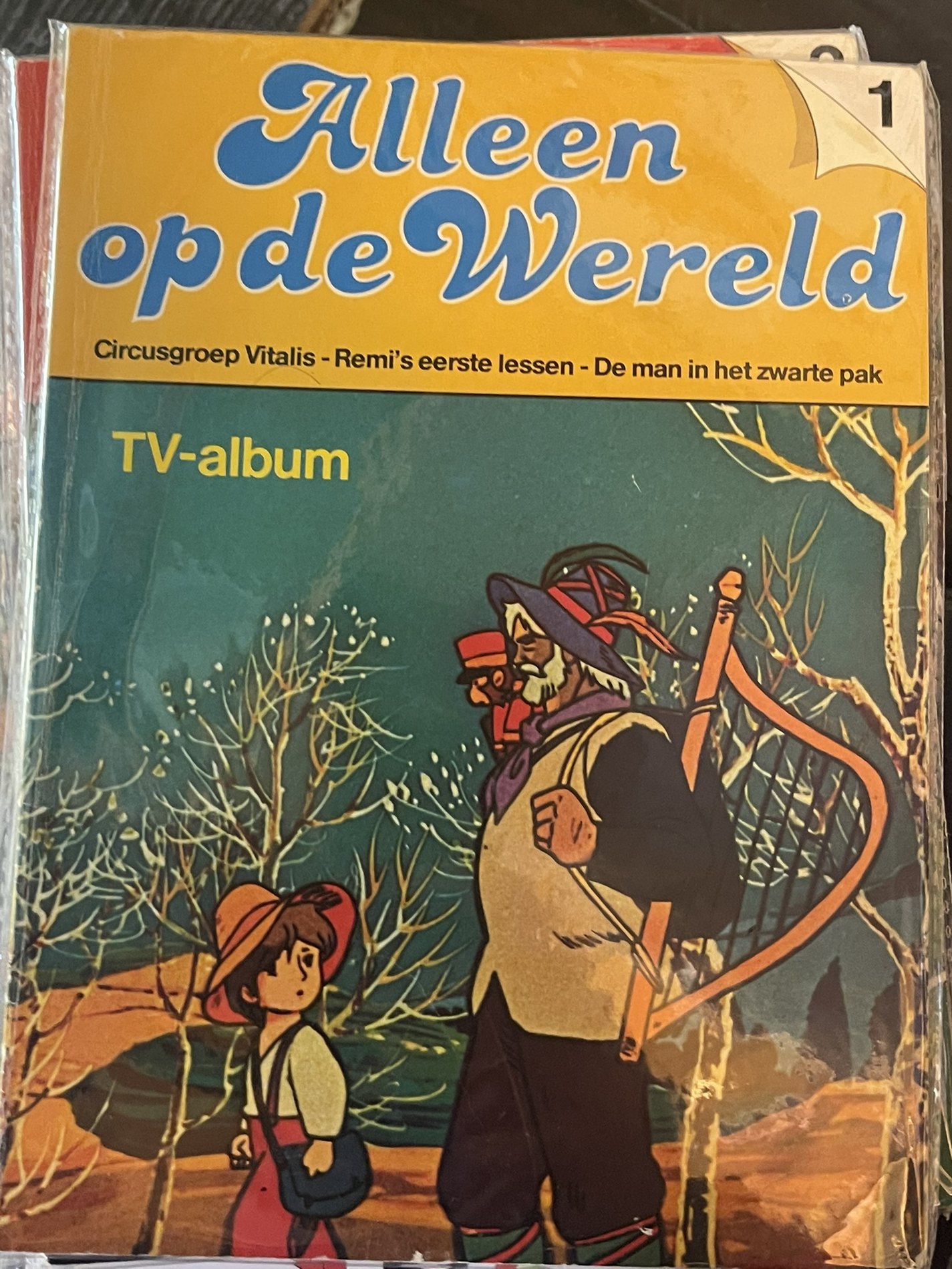 Cover van Alleen op de Wereld