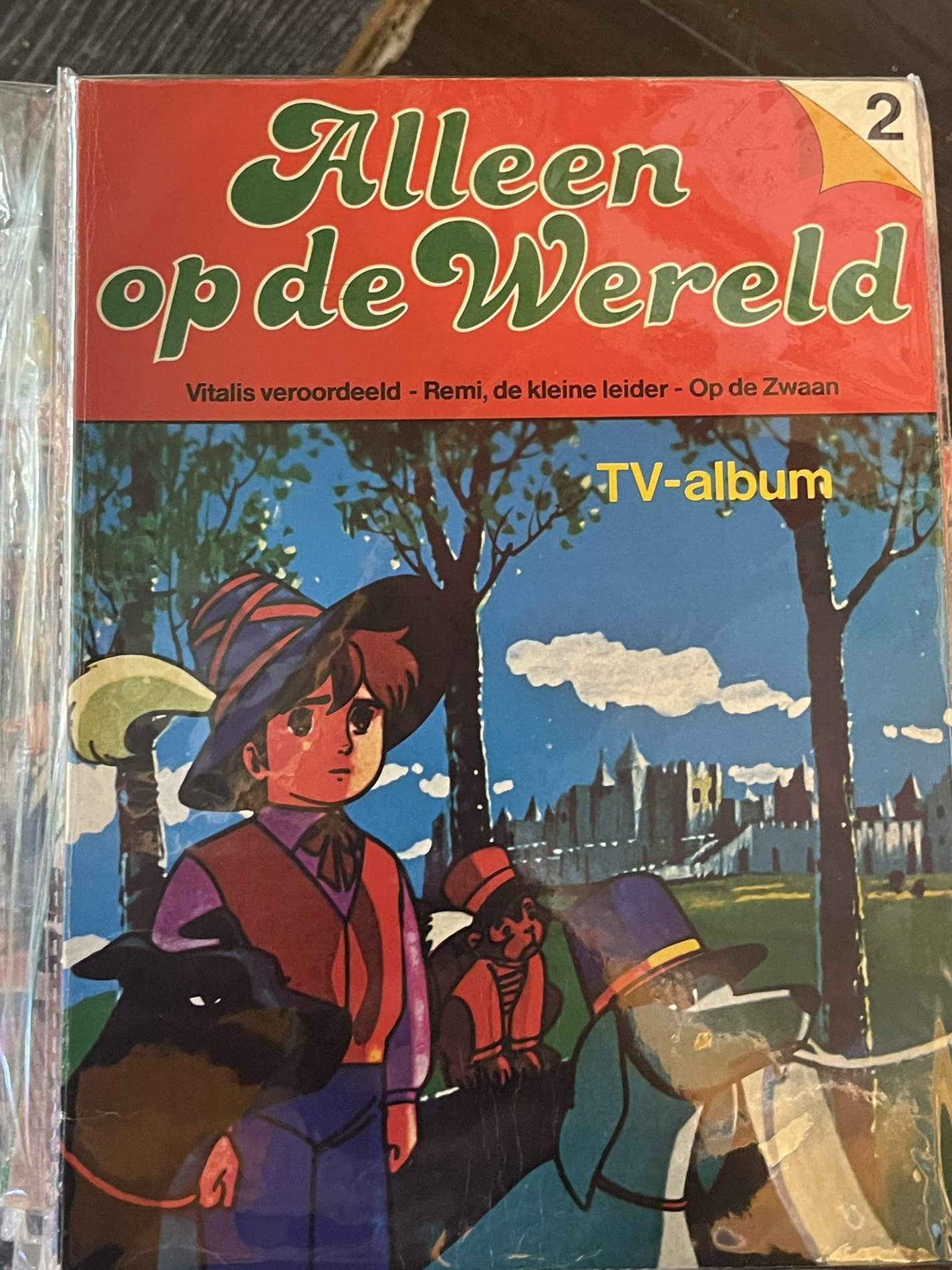 Cover van Alleen op de Wereld