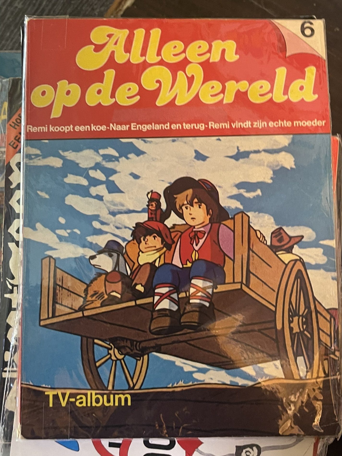 Cover van Alleen op de Wereld
