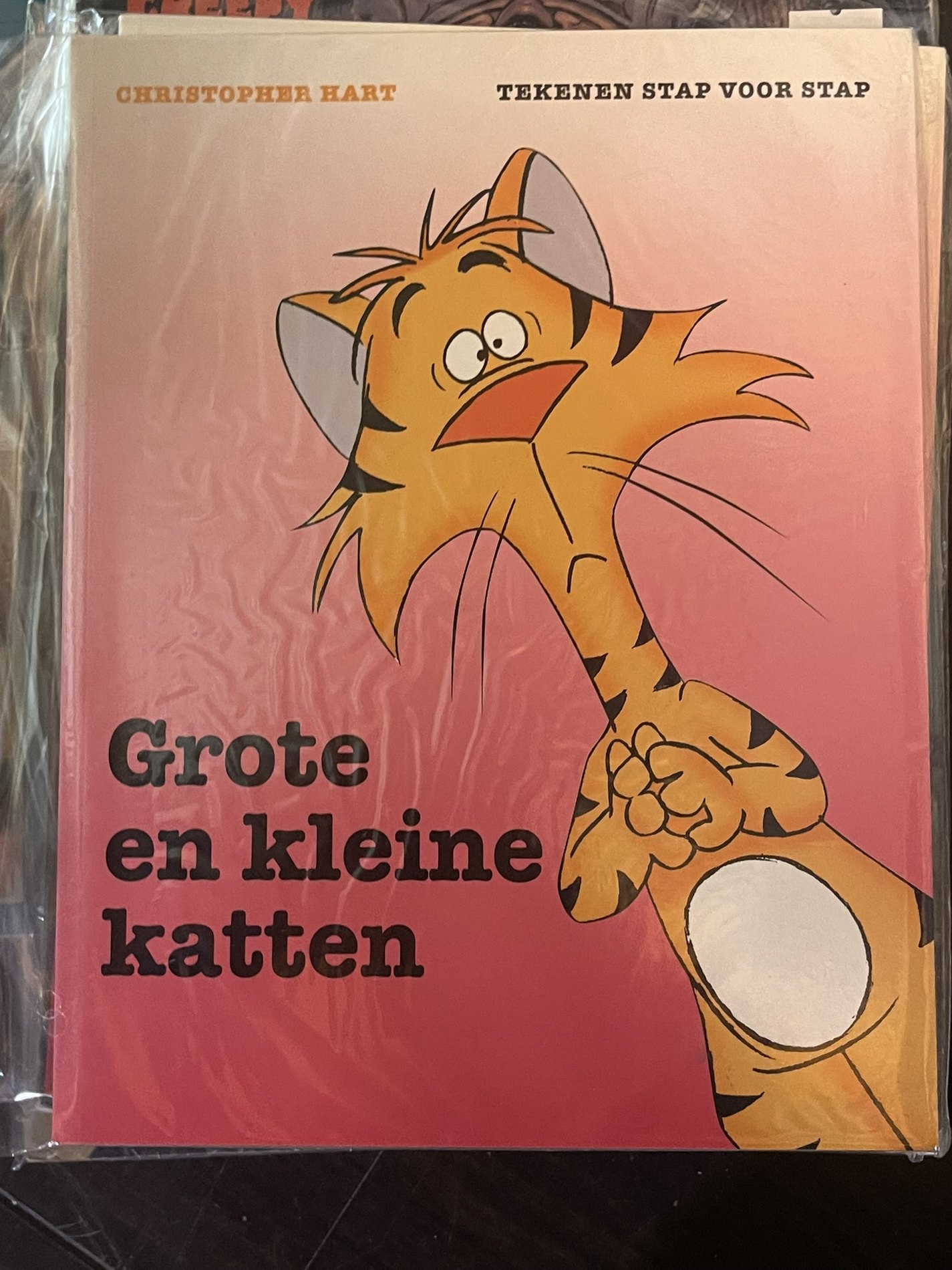 Cover van Grote en kleine katten