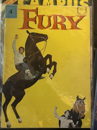 Cover van Fury 4