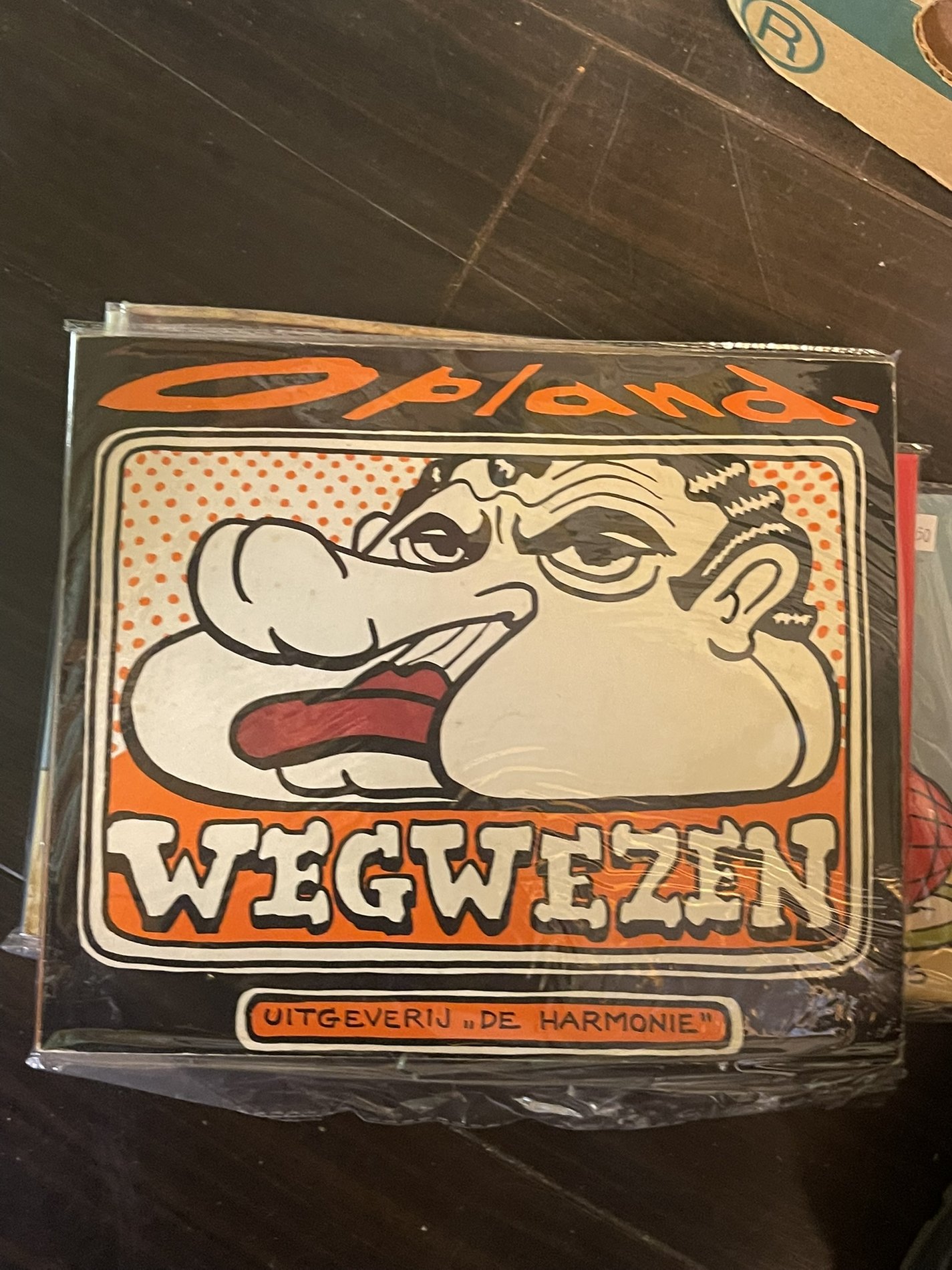 Cover van Wegwezen
